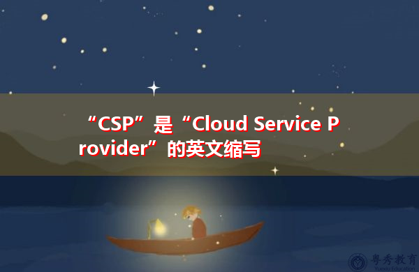 “CSP”是“Cloud Service Provider”的英文缩写，意思是“云服务提供商”