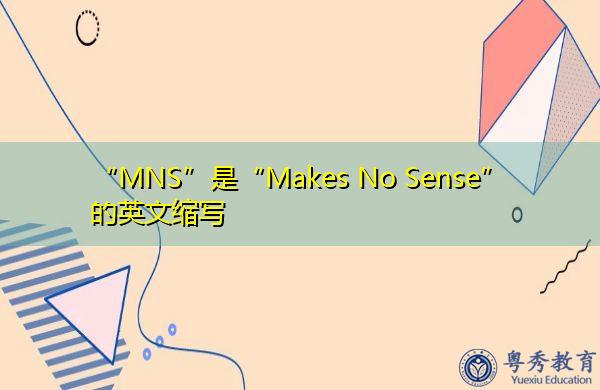 “MNS”是“Makes No Sense”的英文缩写，意思是“毫无意义”