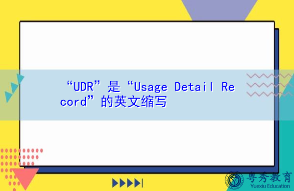 “UDR”是“Usage Detail Record”的英文缩写，意思是“使用详细信息记录”