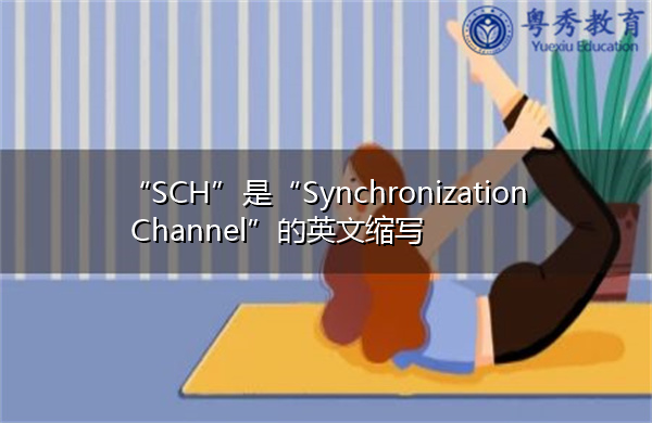 “SCH”是“Synchronization Channel”的英文缩写，意思是“同步通道”