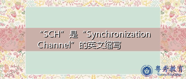 “SCH”是“Synchronization Channel”的英文缩写，意思是“同步通道”