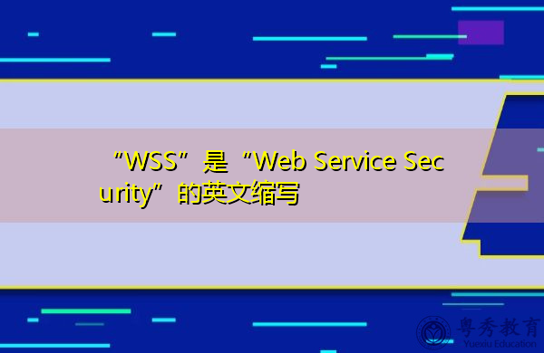 “WSS”是“Web Service Security”的英文缩写，意思是“Web服务安全性”