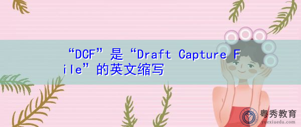 “DCF”是“Draft Capture File”的英文缩写，意思是“草稿捕获文件”