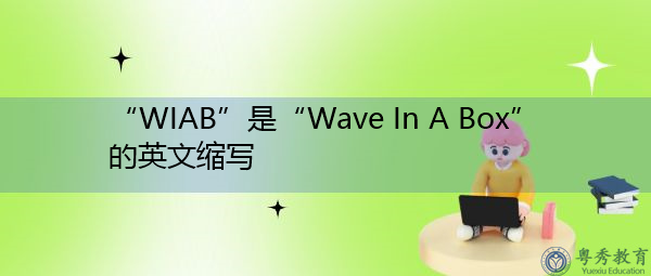 “WIAB”是“Wave In A Box”的英文缩写，意思是“盒子里的波浪”