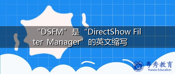 “DSFM”是“DirectShow Filter Manager”的英文缩写，意思是“DirectShow筛选器管理器”