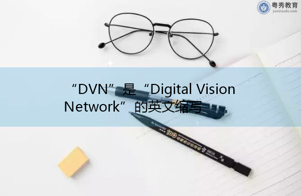 “DVN”是“Digital Vision Network”的英文缩写，意思是“Digital Vision Network”