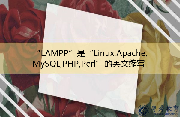 “LAMPP”是“Linux,Apache,MySQL,PHP,Perl”的英文缩写，意思是“Linux,Apache,MySQL,PHP,Perl”