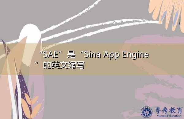 “SAE”是“Sina App Engine”的英文缩写，意思是“新浪应用引擎”