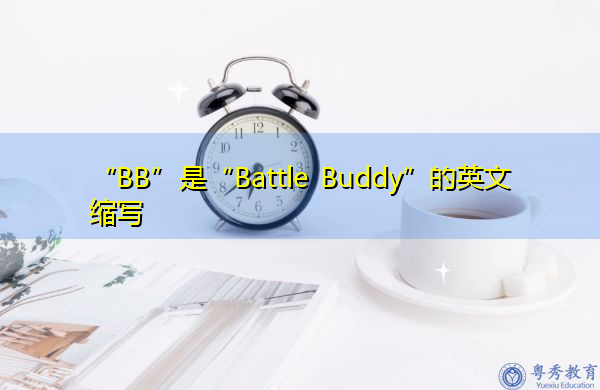 “BB”是“Battle Buddy”的英文缩写，意思是“战斗伙伴”