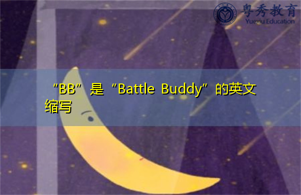 “BB”是“Battle Buddy”的英文缩写，意思是“战斗伙伴”