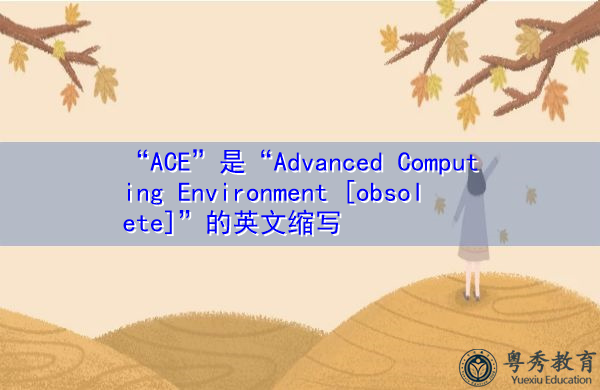 “ACE”是“Advanced Computing Environment [obsolete]”的英文缩写，意思是“高级计算环境[过时]”