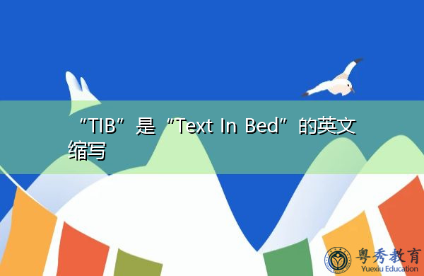 “TIB”是“Text In Bed”的英文缩写，意思是“床上文字”