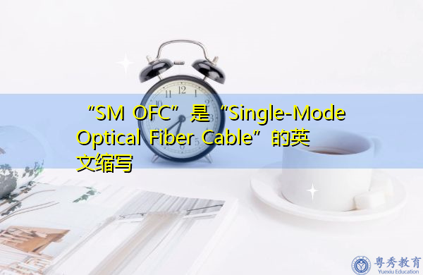 “SM OFC”是“Single-Mode Optical Fiber Cable”的英文缩写，意思是“单模光缆”