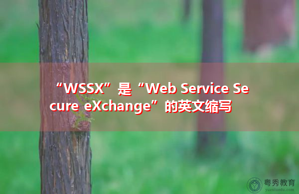 “WSSX”是“Web Service Secure eXchange”的英文缩写，意思是“Web服务安全交换”