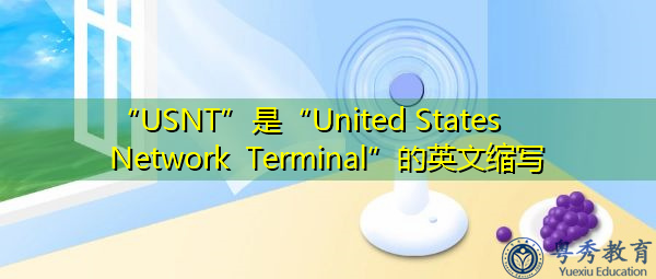 “USNT”是“United States Network Terminal”的英文缩写，意思是“美国网络终端”