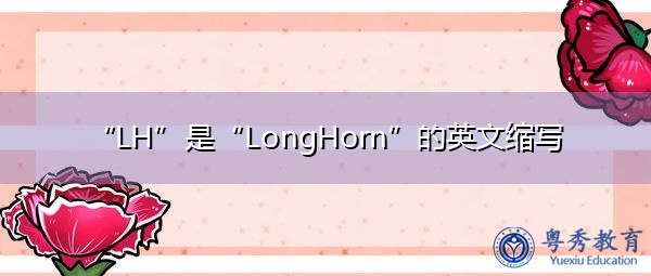 “LH”是“LongHorn”的英文缩写，意思是“长角牛”