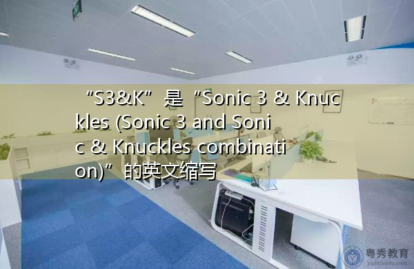 “S3&K”是“Sonic 3 & Knuckles (Sonic 3 and Sonic & Knuckles combination)”的英文缩写，意思是“Sonic 3和转向节（Sonic 3和Sonic&转向节组合）”