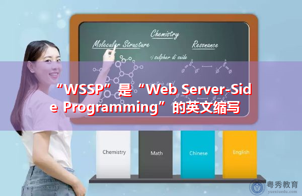 “WSSP”是“Web Server-Side Programming”的英文缩写，意思是“Web服务器端编程”