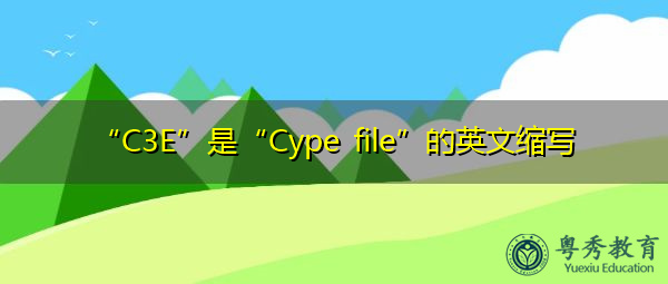 “C3E”是“Cype file”的英文缩写，意思是“Cype文件”