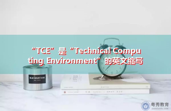 “TCE”是“Technical Computing Environment”的英文缩写，意思是“技术计算环境”