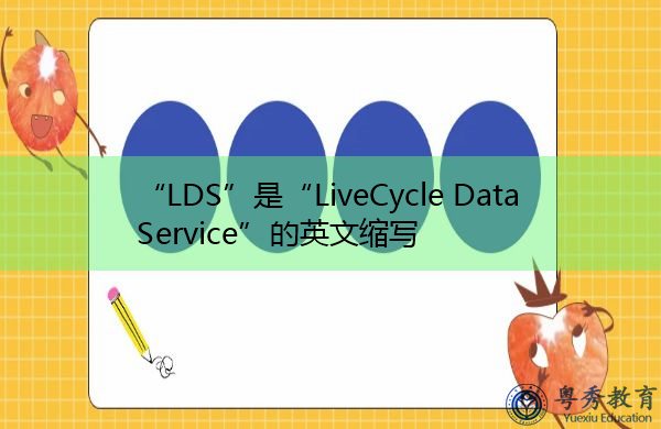 “LDS”是“LiveCycle Data Service”的英文缩写，意思是“器端技术”