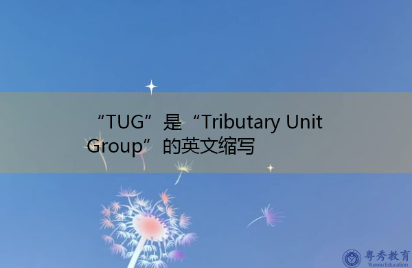 “TUG”是“Tributary Unit Group”的英文缩写，意思是“支路单元组”