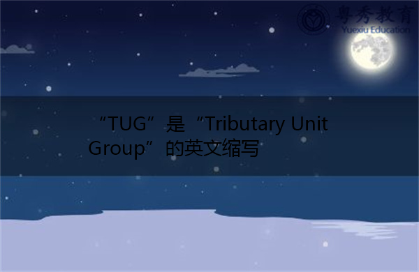 “TUG”是“Tributary Unit Group”的英文缩写，意思是“支路单元组”
