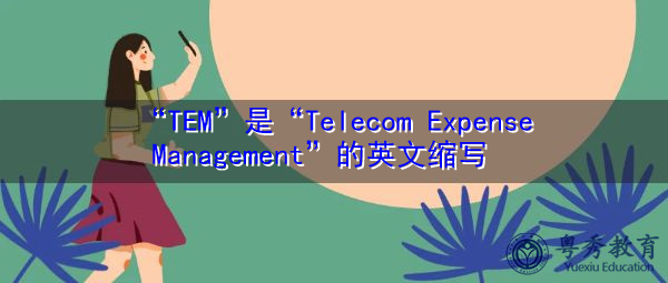 “TEM”是“Telecom Expense Management”的英文缩写，意思是“电信费用管理”