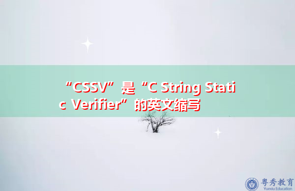 “CSSV”是“C String Static Verifier”的英文缩写，意思是“C字符串静态验证器”