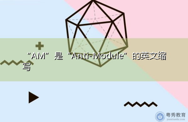 “AM”是“Anti-Module”的英文缩写，意思是“反模块”