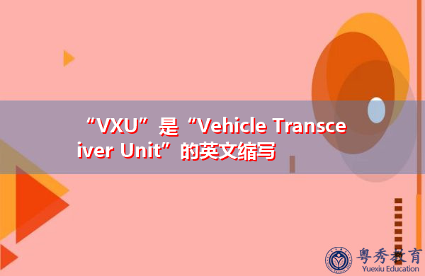 “VXU”是“Vehicle Transceiver Unit”的英文缩写，意思是“Vehicle Transceiver Unit”