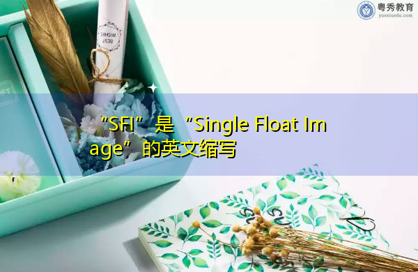 “SFI”是“Single Float Image”的英文缩写，意思是“单浮动图像”