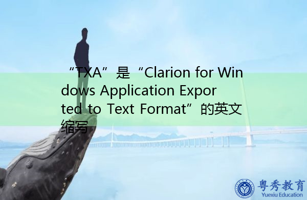 “TXA”是“Clarion for Windows Application Exported to Text Format”的英文缩写，意思是“Clarion for Windows应用程序导出为文本格式”