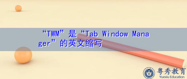 “TWM”是“Tab Window Manager”的英文缩写，意思是“选项卡窗口管理器”