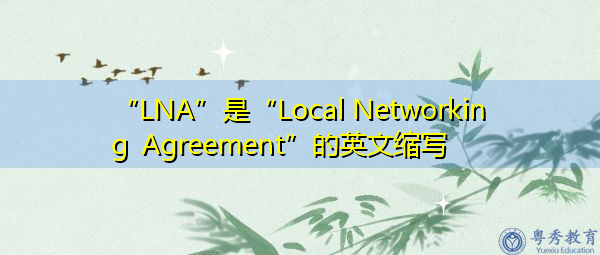 “LNA”是“Local Networking Agreement”的英文缩写，意思是“本地网络协议”