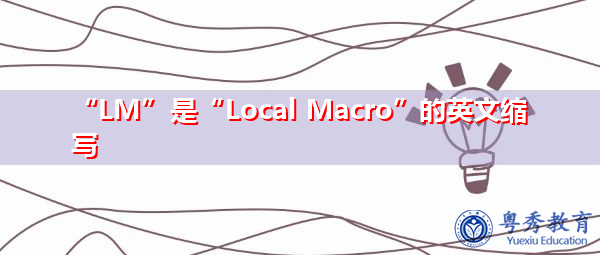 “LM”是“Local Macro”的英文缩写，意思是“局部宏指令”