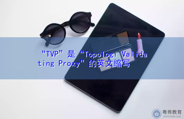“TVP”是“Topologi Validating Proxy”的英文缩写，意思是“Topologi Validating Proxy”