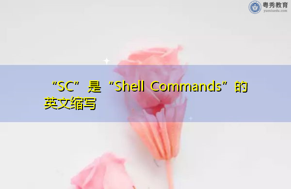 “SC”是“Shell Commands”的英文缩写，意思是“外壳命令”