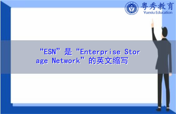 “ESN”是“Enterprise Storage Network”的英文缩写，意思是“企业存储网络”