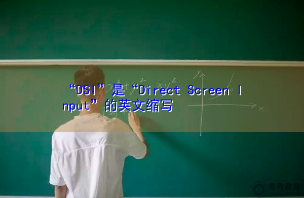 “DSI”是“Direct Screen Input”的英文缩写，意思是“直接屏幕输入”