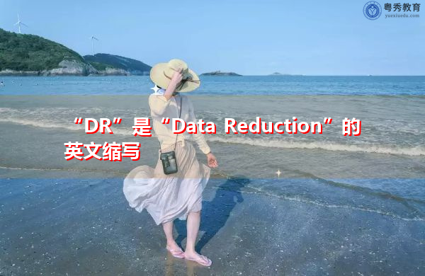 “DR”是“Data Reduction”的英文缩写，意思是“数据约简”