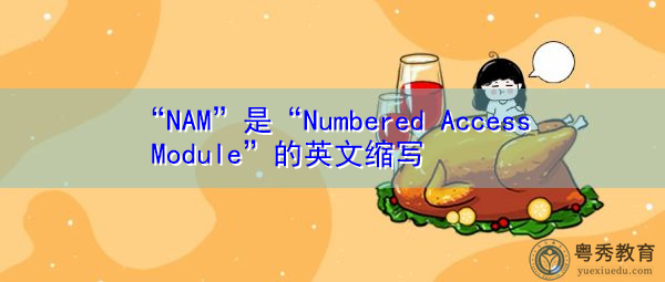 “NAM”是“Numbered Access Module”的英文缩写，意思是“编号访问模块”