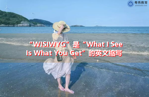 “WISIWYG”是“What I See Is What You Get”的英文缩写，意思是“我看到的是你得到的”