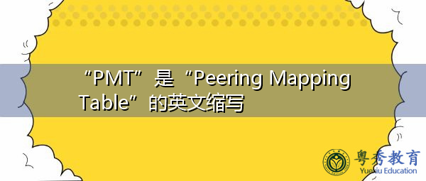 “PMT”是“Peering Mapping Table”的英文缩写，意思是“对等映射表”