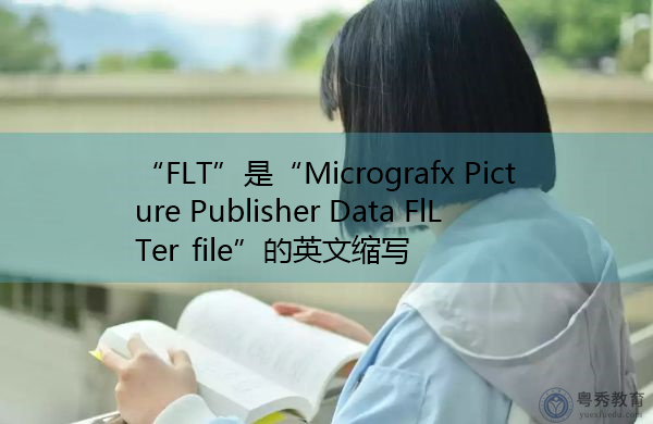 “FLT”是“Micrografx Picture Publisher Data FlLTer file”的英文缩写，意思是“MicrogFX图片发布器数据过滤器文件”