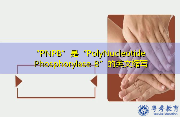 “PNPB”是“PolyNucleotide Phosphorylase B”的英文缩写，意思是“多核苷酸磷酸化酶B”