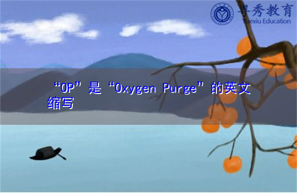 “OP”是“Oxygen Purge”的英文缩写,意思是“氧气净化” “OP”是“Oxygen Purge”的英文缩写,意思是“氧气净化”