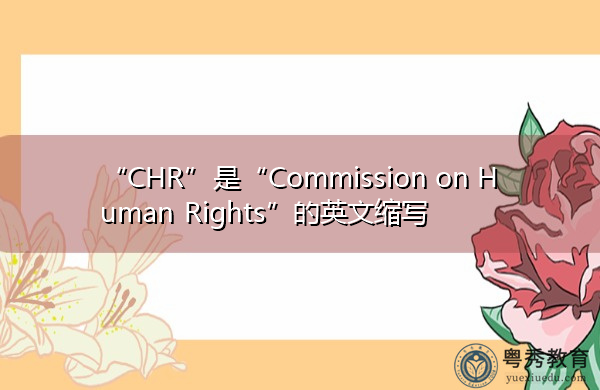 “CHR”是“Commission on Human Rights”的英文缩写，意思是“人权委员会”