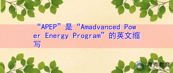 “APEP”是“Amadvanced Power Energy Program”的英文缩写，意思是“先进的电力能源计划”