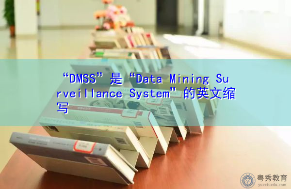 “DMSS”是“Data Mining Surveillance System”的英文缩写，意思是“数据挖掘监控系统”